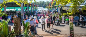 Nambour - Hinterland Tourism Sunshine Coast