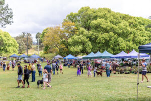 Markets in the Sunshine Coast Hinterland - Sunshine Coast