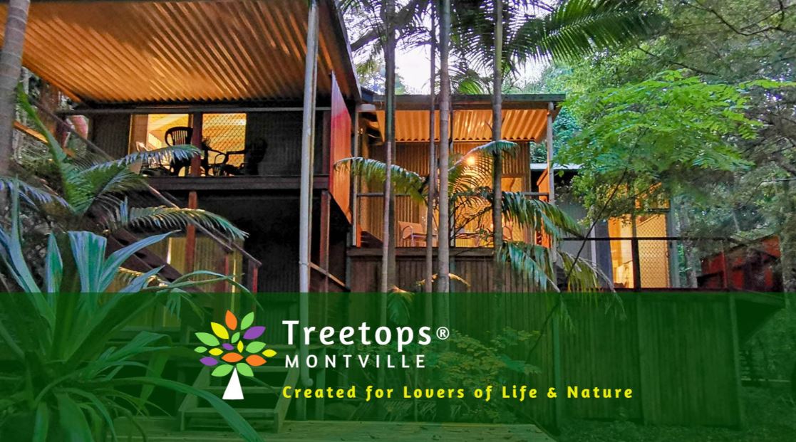 Treetops Montville, Accommodation, Sunshine Coast Hinterland