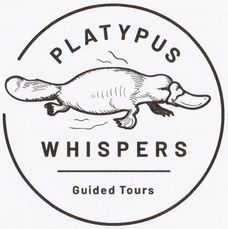 Platypus Maleny