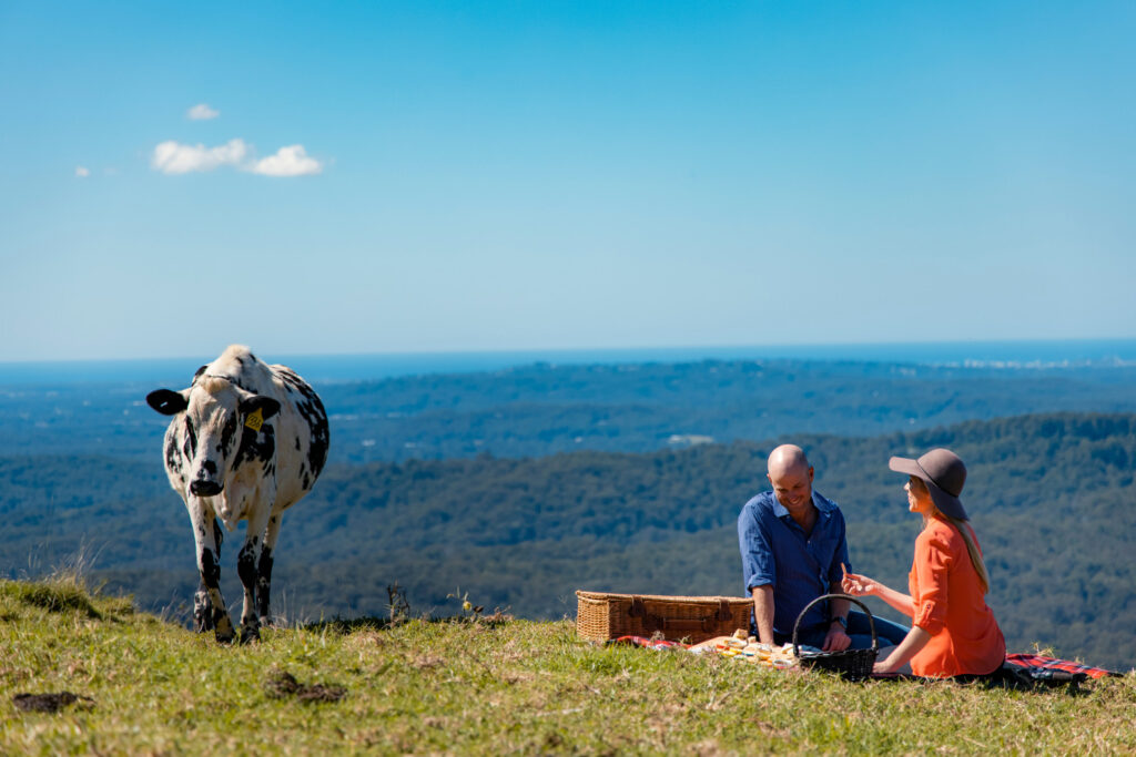 Most Welcoming Place in Australia Montville and Maleny Sunshine Coast Hinterland