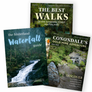 Sunshine Coast Hinterland Walking Tracks, Sunshine Coast Hinterland, Things To Do Sunshine Coast, Waterfalls To See In The Hinterland