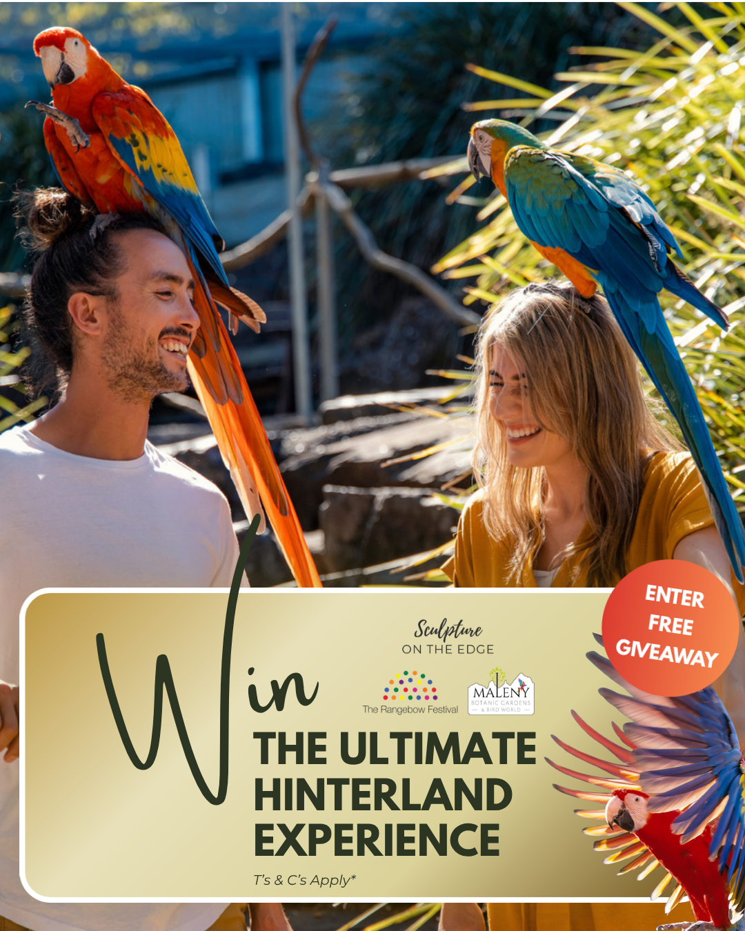Sunshine Coast Hinterland Giveaway, Maleny Botanic Gardens and Bird World, The Rangebow Festival, Sculpture On The Edge, Maleny Giveaway, Montville Giveaway
