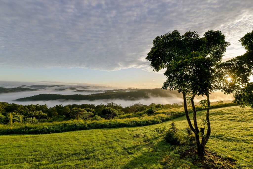 Scandi Sunshine Coast Hinterland Hot 