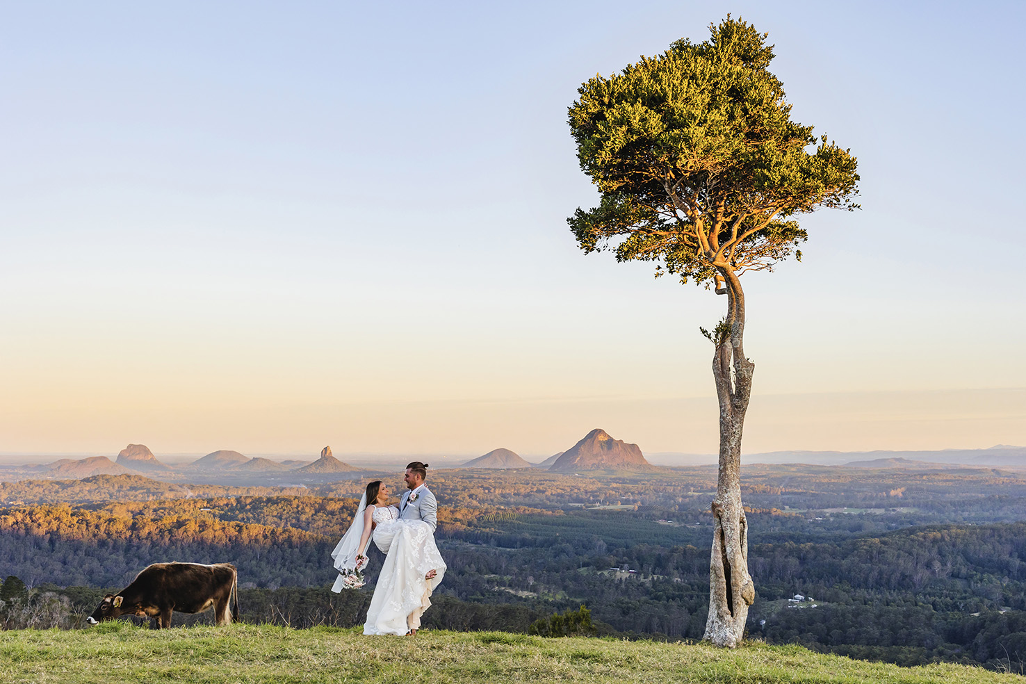 Tawny Photography and Film Weddings Sunshine Coast Hinterland