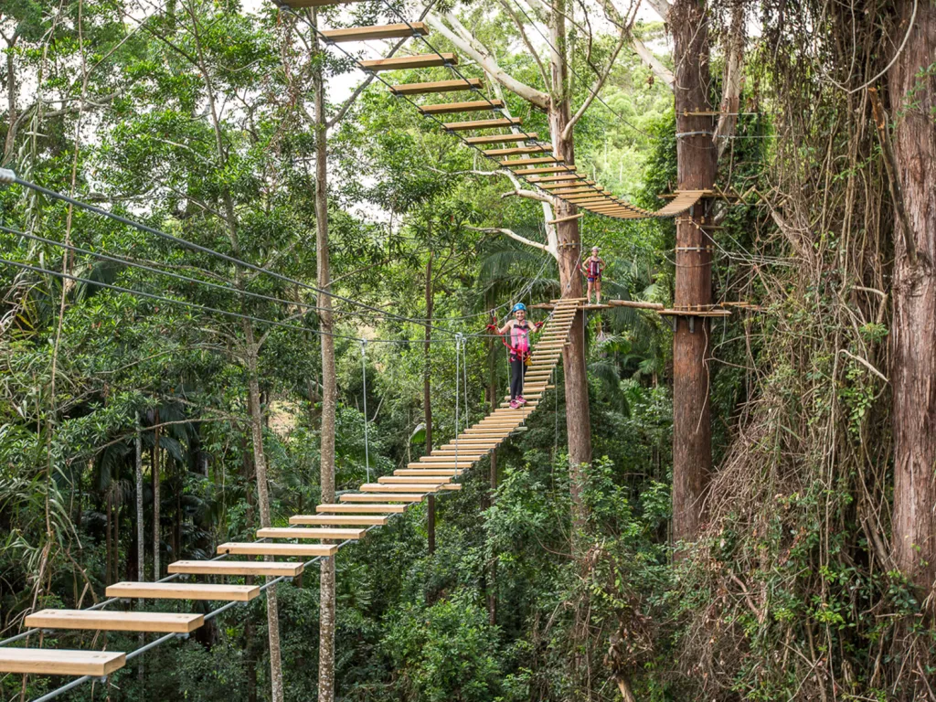 Tree Top Challenge 